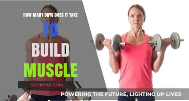 From Skinny to Strong: The Muscle-Building Timeline Revealed