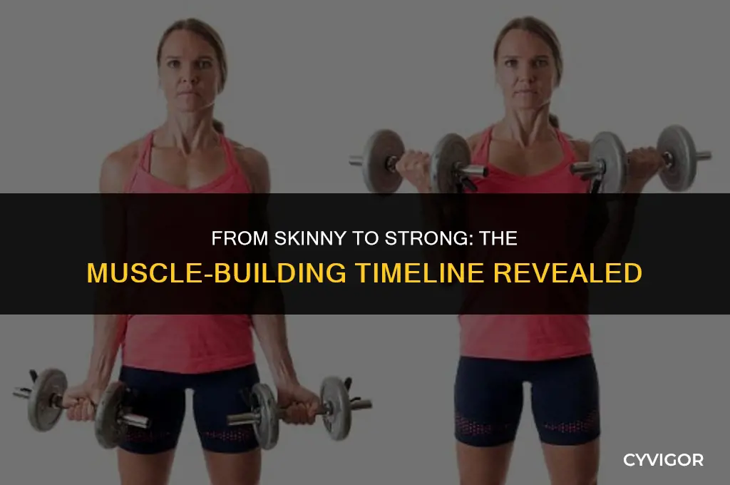 how many days does it take to build muscle