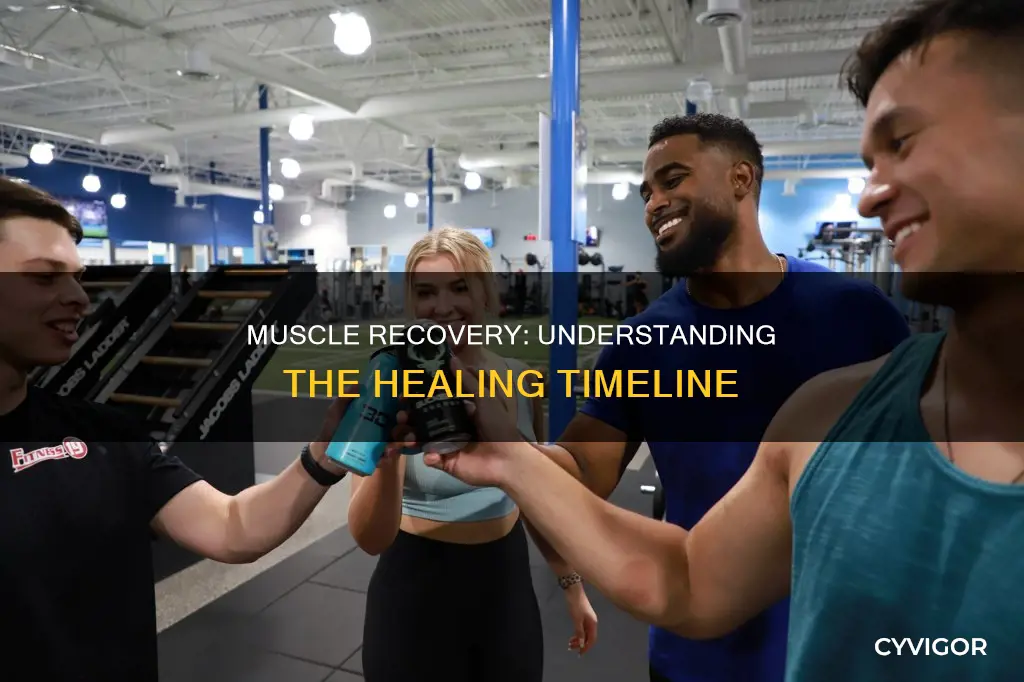 how many days muscle heal