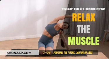 Unlocking Muscle Relaxation: Stretching Days for Optimal Flexibility