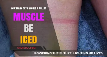 Effective Pulled Muscle Recovery: Optimal Icing Duration for Healing