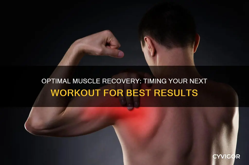 how many days should i wait before working muscle again