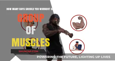 Optimal Muscle Recovery: How Often Should You Train Each Group?
