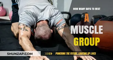 Optimal Muscle Recovery: How Many Days Should You Rest Each Group?