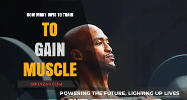 Effective Muscle Gain Training: Optimal Days for Visible Results