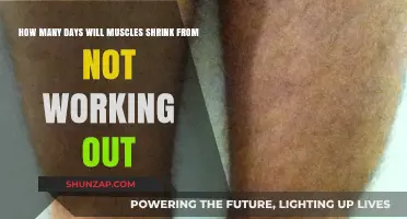Muscle Shrinkage Timeline: How Quickly Does Inactivity Affect Your Gains?