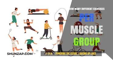 Optimal Exercise Variety: How Many Moves Per Muscle Group?