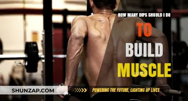 Dips for Muscle Building: The Optimal Rep Range Revealed