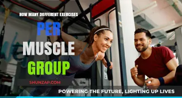 Optimal Exercise Variety: How Many Moves Per Muscle Group?