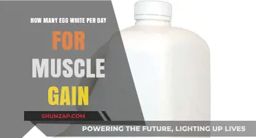 Optimal Egg White Intake for Muscle Gain: Daily Recommendations