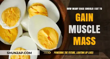 Optimal Egg Intake for Muscle Gain: A Comprehensive Guide