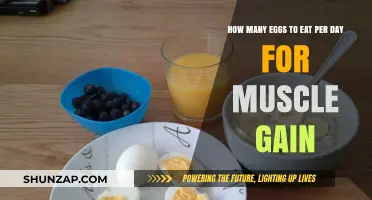 Optimal Egg Intake for Daily Muscle Gain: A Nutritional Guide