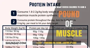 Muscle Gain Secrets: Caloric Surplus for Optimal Growth
