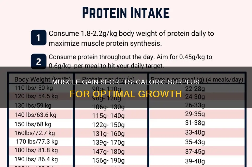 how many excess calories to gain a pound of muscle