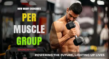 Optimal Workout Frequency: How Many Exercises Per Muscle Group?