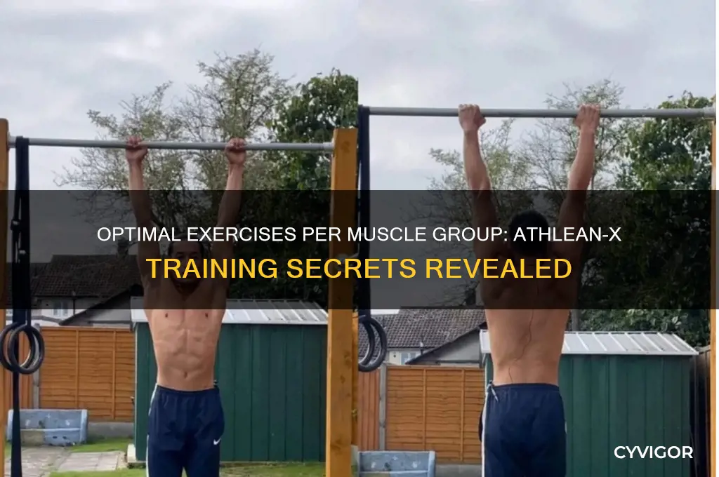 how many exercises per muscle group athlean x