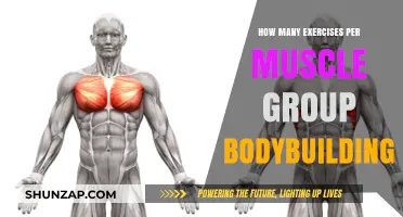 Optimal Workout Frequency: Exercises Per Muscle Group for Bodybuilding Success