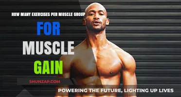 Optimal Exercise Volume: Maximizing Muscle Gain Per Group