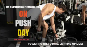 Optimal Push Day Workout: Exercises Per Muscle Group Guide