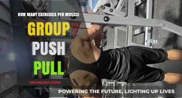 Optimal Push-Pull Workout: Exercises Per Muscle Group Guide