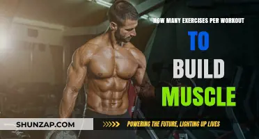 Optimizing Muscle Growth: The Ideal Number of Exercises per Workout
