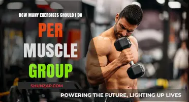 Optimal Workout Routine: Exercises Per Muscle Group for Best Results