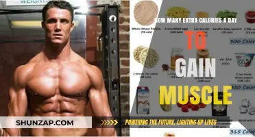 Fuel Your Muscle Growth: Daily Calorie Surplus Guide