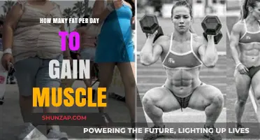 Optimal Fat Intake for Muscle Gain: Daily Guidelines Explained