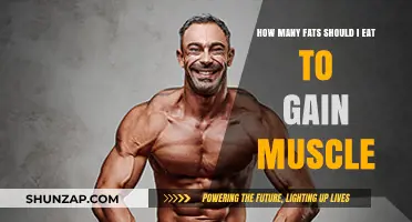 Optimal Fat Intake for Muscle Gain: Balancing Nutrition for Results