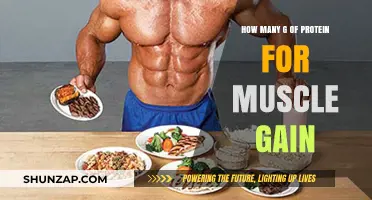 Optimal Protein Intake for Effective Muscle Gain: A Comprehensive Guide