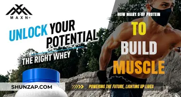 Unlocking Muscle Growth: The Essential Guide to Protein Intake