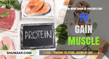 Optimal Daily Protein Intake for Effective Muscle Gain and Growth