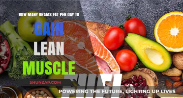 Optimal Daily Fat Intake for Lean Muscle Gain: Expert Tips