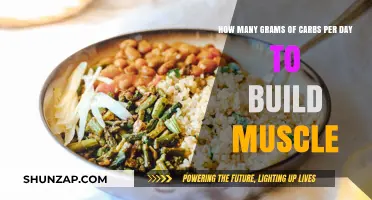 Fueling Muscle Growth: Optimal Carb Intake for Bodybuilders