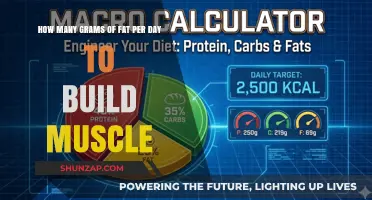 Fuel Your Gains: The Optimal Daily Fat Intake for Muscle Building