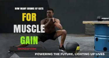 Optimal Oats Portion: Fueling Muscle Growth with the Right Grams