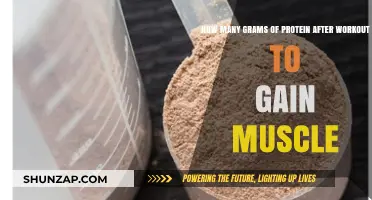 Optimal Protein Intake Post-Workout for Effective Muscle Gain