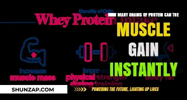 Instant Muscle Protein Gain: Understanding Absorption Limits and Myths