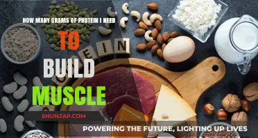 Fuel Your Gains: The Essential Guide to Protein Intake for Muscle Building