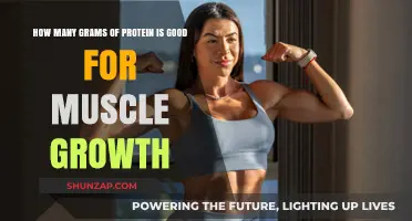 Optimal Protein Intake for Effective Muscle Growth and Recovery