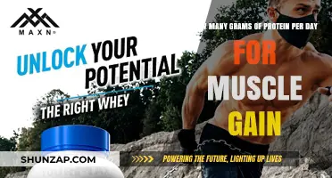 Optimal Protein Intake for Muscle Gain: Daily Gram Guidelines