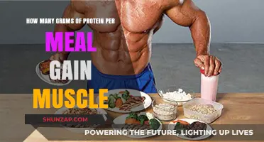 Optimal Protein Intake: Grams per Meal for Muscle Gain