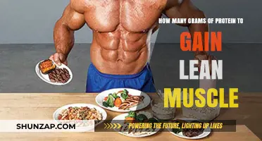 Optimal Protein Intake for Building Lean Muscle Mass Effectively