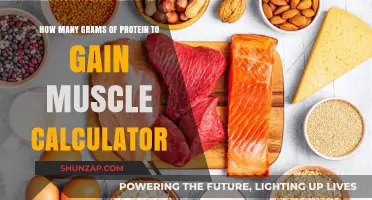 Calculate Your Ideal Protein Intake for Muscle Gain: A Guide