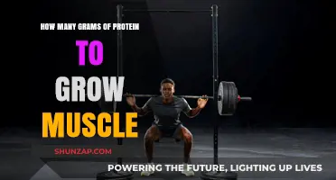 Optimal Protein Intake for Muscle Growth: How Many Grams Do You Need?