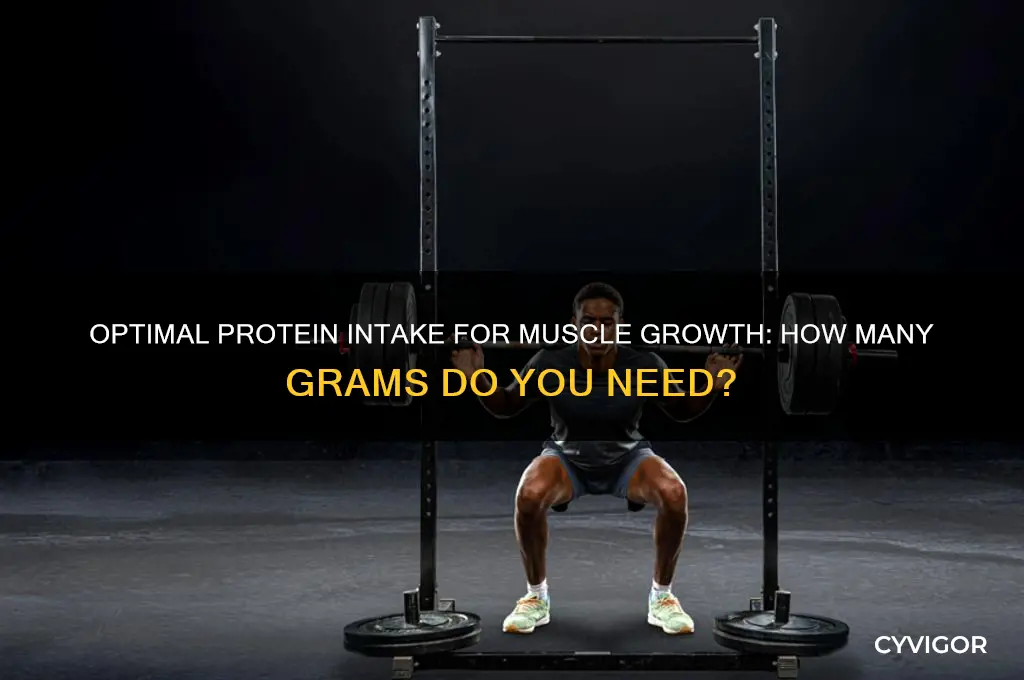how many grams of protein to grow muscle