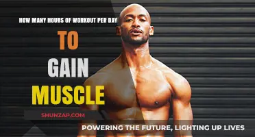Optimal Daily Workout Hours for Effective Muscle Gain Strategies