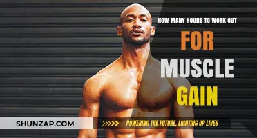 Optimal Workout Hours for Effective Muscle Gain and Growth