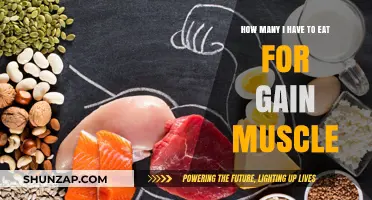 Fuel Your Muscle Growth: Optimal Eating for Strength and Size