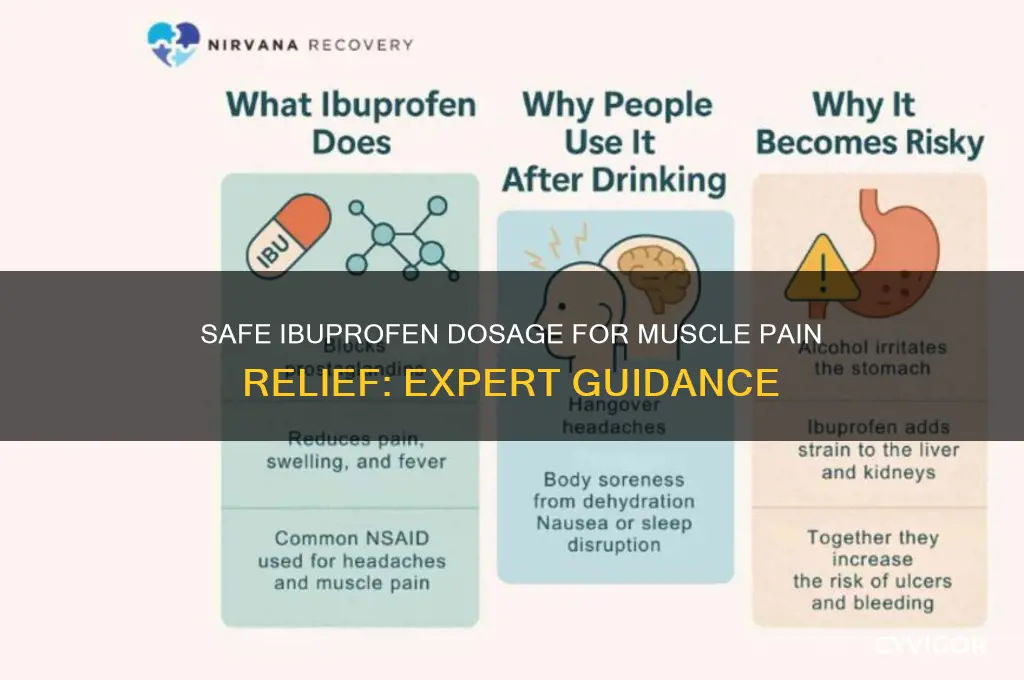 how many ibuprofen should i take for muscle pain